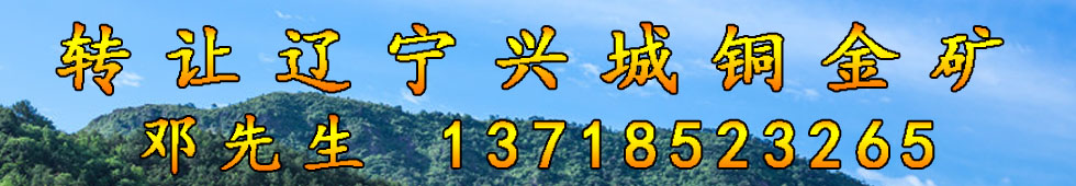 铜金矿
